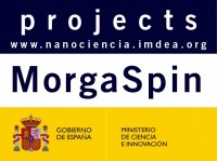 MorgaSpin Towards Multifunctional organic-based Spintronics